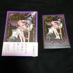 偏愛至上主義～岩見樹代子作品集 — image 1