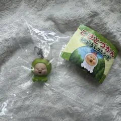 こびとづかん めじるしフレンズ スモモノウチ — image 1
