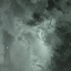 まいぷう様専用 — image 1