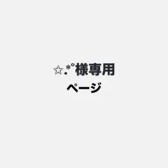 ✩.*˚様専用ページ — image 1
