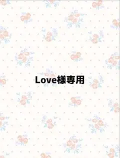 Love様専用 — image 1