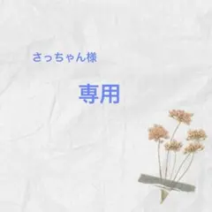 【専用】さっちゃん様　おまとめ — image 1