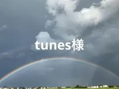 tunes様 — image 1