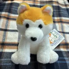 くったりあきたいぬST　まーぼう　秋田犬　ぬいぐるみ　AMUSE　アミューズ — image 1