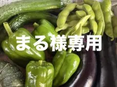 まる様専用 — image 1