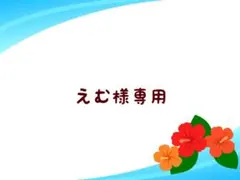えむ様専用 — image 1