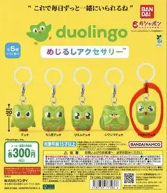 【即日発送】duolingo ドゥオリンゴ めじるしアクセサリー　わくわくデュオ — image 1