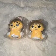 ツムキツネ — image 1