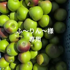 ふ〜りん〜様専用 — image 1
