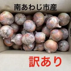 訳あり　淡路島産玉ねぎ　ターザン訳あり10キロ — image 1