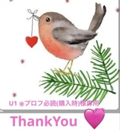 U1 ※プロフ必読(購入時)専用出品 — image 1