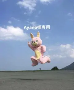 Ayano様専用 — image 1