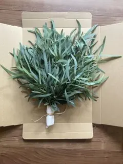 ニコリー　フレッシュ — image 1