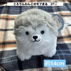 kiyo様 リクエスト 2点 まとめ商品 — image 1