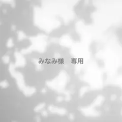 みなみ様　専用(6/28までに発送) — image 1