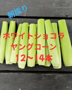 栽培期間農薬不使用　ヤングコーン　ホワイトショコラ　１２〜14本　ネコポス — image 1