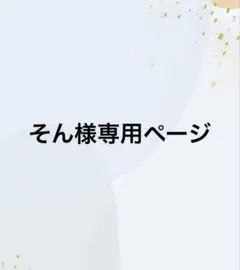 そん様専用ページ — image 1