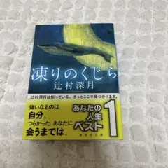 凍りのくじら — image 1