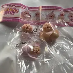 こびとづかん カクレモモジリ コレクション 3種セット — image 1
