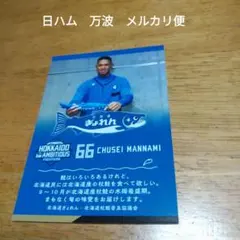 最終値下　北海道日本ハムファイターズ　日ハム　66　万波中正　カード　しゃけまる — image 1