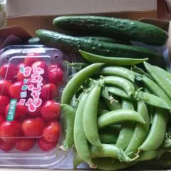野菜の詰め合わせ — image 1