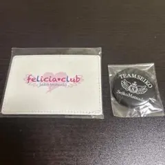松田聖子 TEAM SEIKO 缶バッジ felicia club — image 1