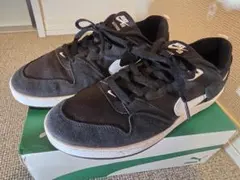ナイキ SB アリウープ スケートボードシューズ NIKE — image 1
