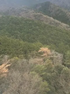 専用です — image 1
