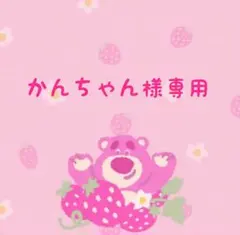 かんちゃん様専用です — image 1