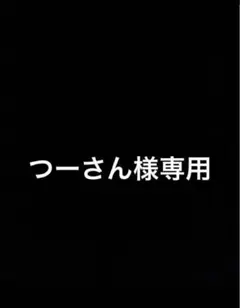 つーさん様専用　2個セット — image 1