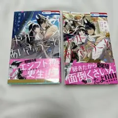 メリトあいきゅうごっど 1巻 2巻 全巻初版+特典付きセット — image 1