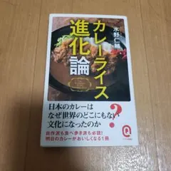 カレーライス進化論　水野仁輔　本　イースト新書Q　食べ物　エッセイ　文化 — image 1