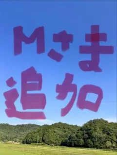 Mさま専用 追加分 — image 1