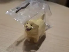 いい感じの棒をゲットした犬 ゴールデンレトリバー — image 1