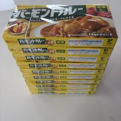 ハウス バーモントカレー 中辛 10個セット — image 1