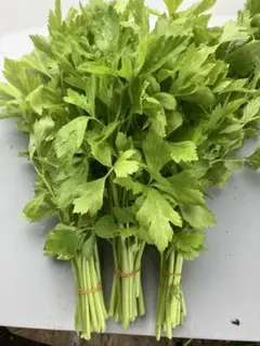 みゆ様　ご依頼分　スープセロリ　150g 栽培期間中農薬不使用 — image 1