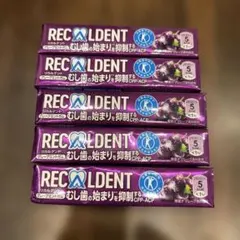 RECALDENT リカルデント グレープミントガム 5個セット — image 1