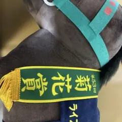28gou 様 専用 — image 1