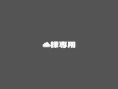 ☁️様専用 — image 1