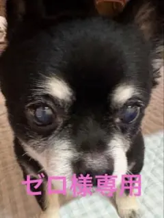 ゼロ様専用　3点 — image 1