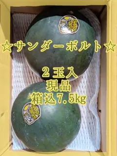 サンダーボルト♡黒皮黄肉西瓜♡２玉入♡２Ｓサイズ♡箱込7.5kg♡ — image 1