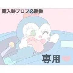 購入時プロフ必読様 専用ページ — image 1