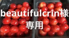 beautifulcrin様　専用　さくらんぼ　1kg — image 1