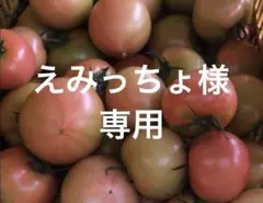 えみっちょ様　専用 — image 1