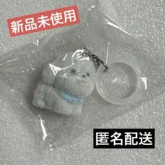 ミニミニわんちゃん大集合　フロッキーワンポイントチャーム　めじるし　プードル — image 1