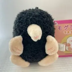 モグラッコ マスコット ぬいぐるみ 新品未使用タグ付き 新品未使用タグ付き — image 1