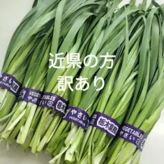 訳あり　ニラ　6束 約600g　本日発送 — image 1