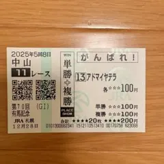 第70回 有馬記念 応援馬券 アドマイヤテラ — image 1