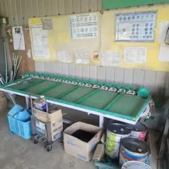 朝倉市発　ISEKI 小型ウェイトサイザー SW-6 選別機 　富有柿　選果機 — image 1
