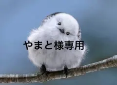 やまと様専用 #10 — image 1